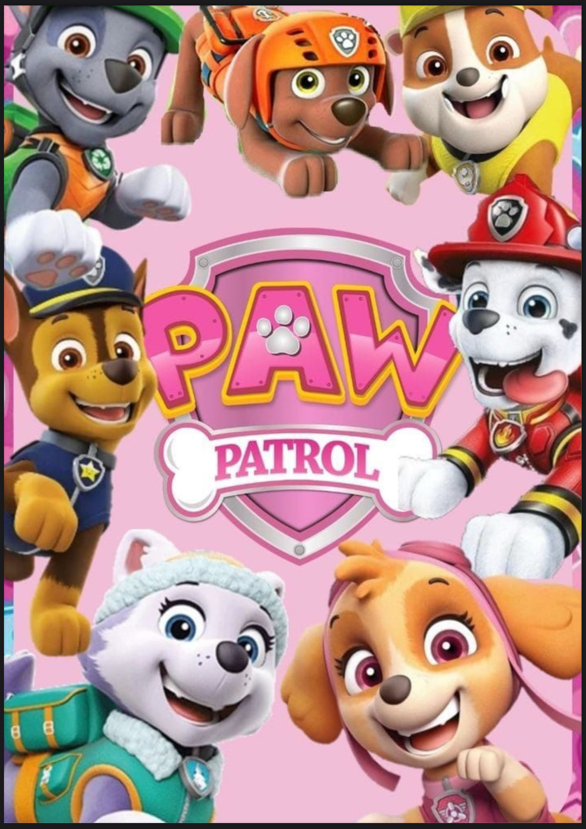 PAW PATROL COLORING BOOK